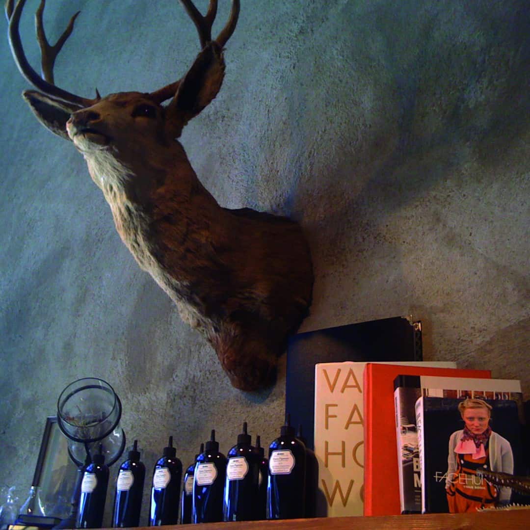 Shed Salon, interior. There it is. The deer.