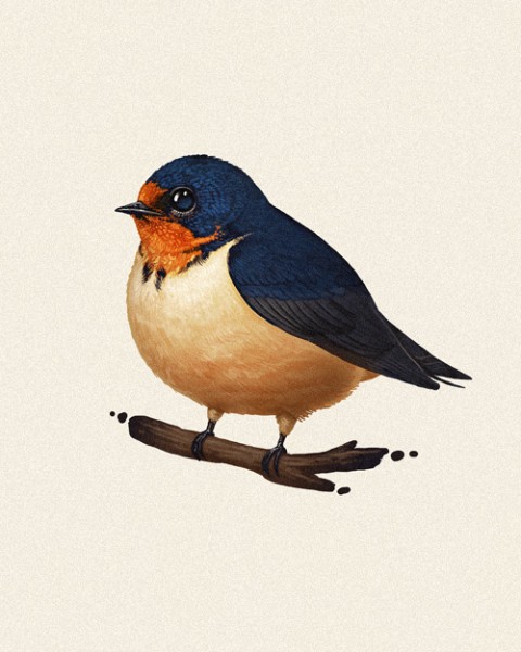 'Barn Swallow' by Mike Mitchell