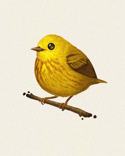 'Yellow Warbler' by Mike Mitchell