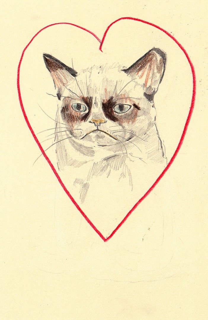 'Grumpy Cat' by Ryan Humphrey from a current meme running its way through the internet.