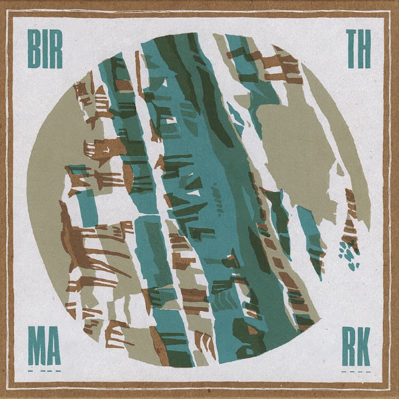 Birthmark record cover by Landland