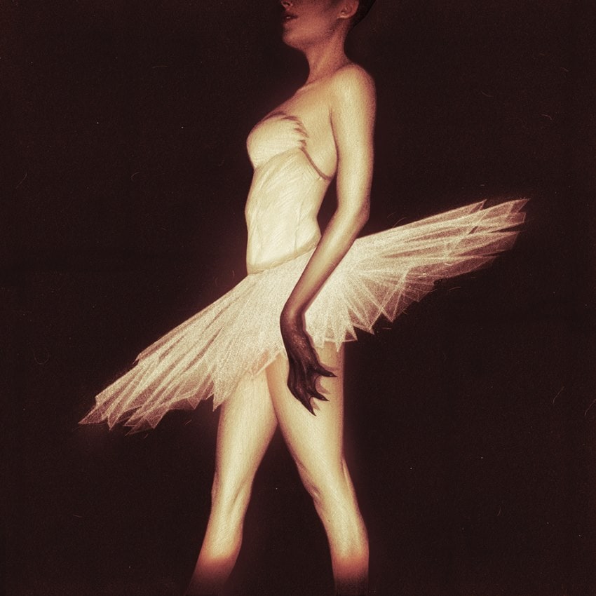 'Black Swan' vinyl soundtrack cover by Sam Wolfe Connelly | for Mondo