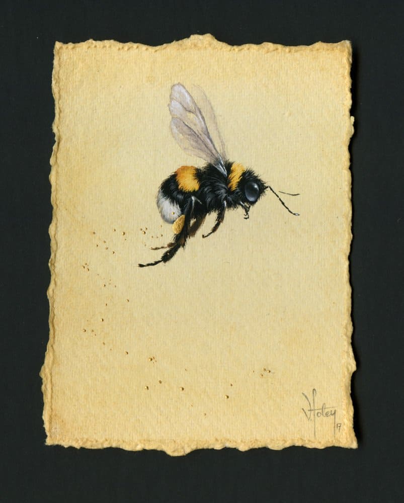 Gilded Bumblebee by Vanessa Foley