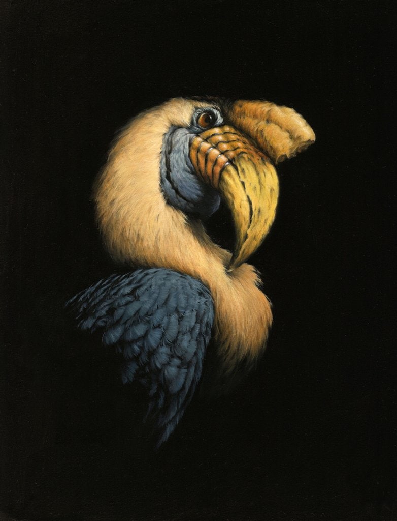 'Hornbill' by Vanessa Foley