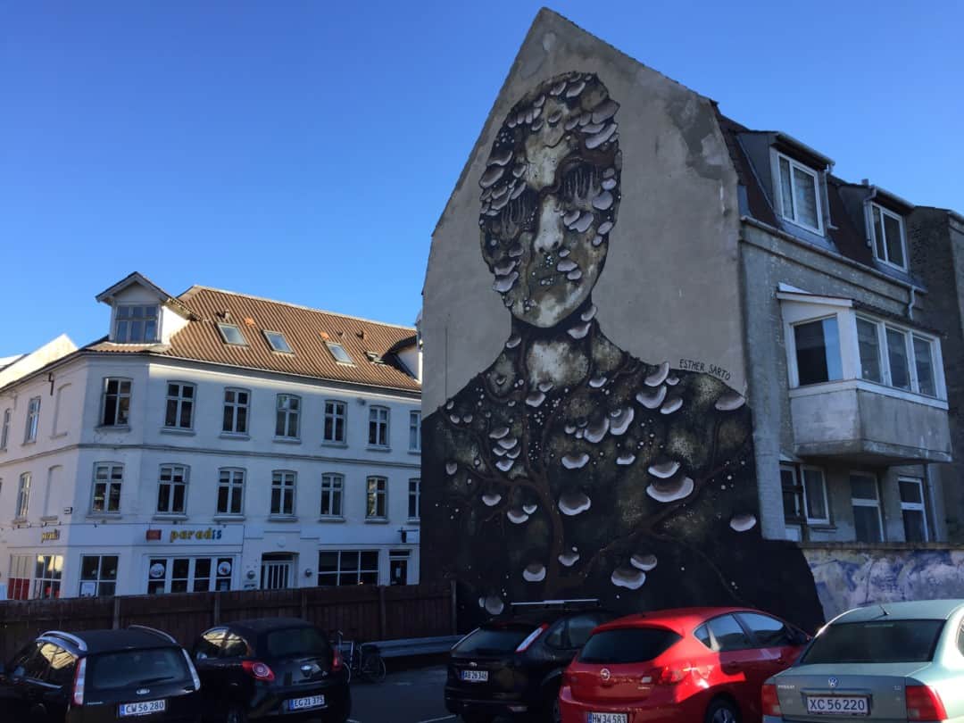 'Human Nature' mural by Esther Sarto (Located in Aalborg, Denmark)