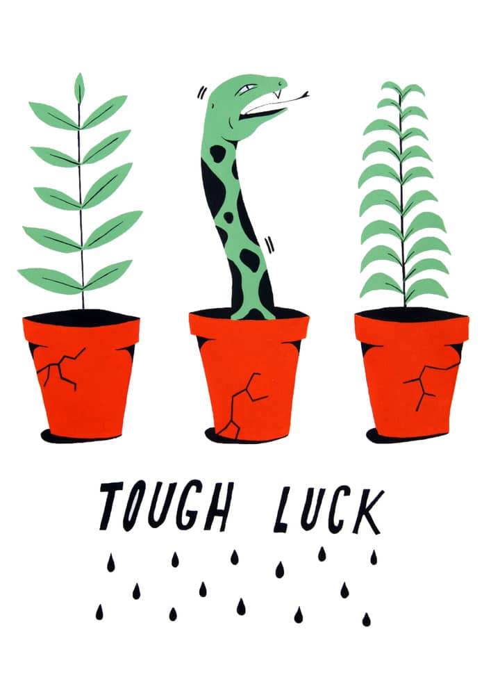 'Tough Luck' by Kelly Rule