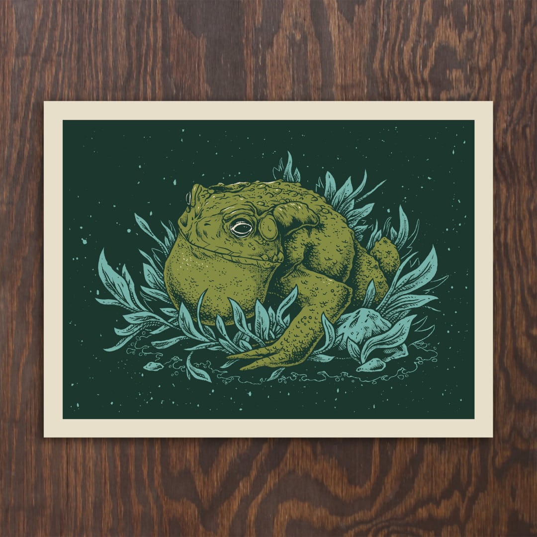 'Wildwood Toad' by Logan Schmitt
