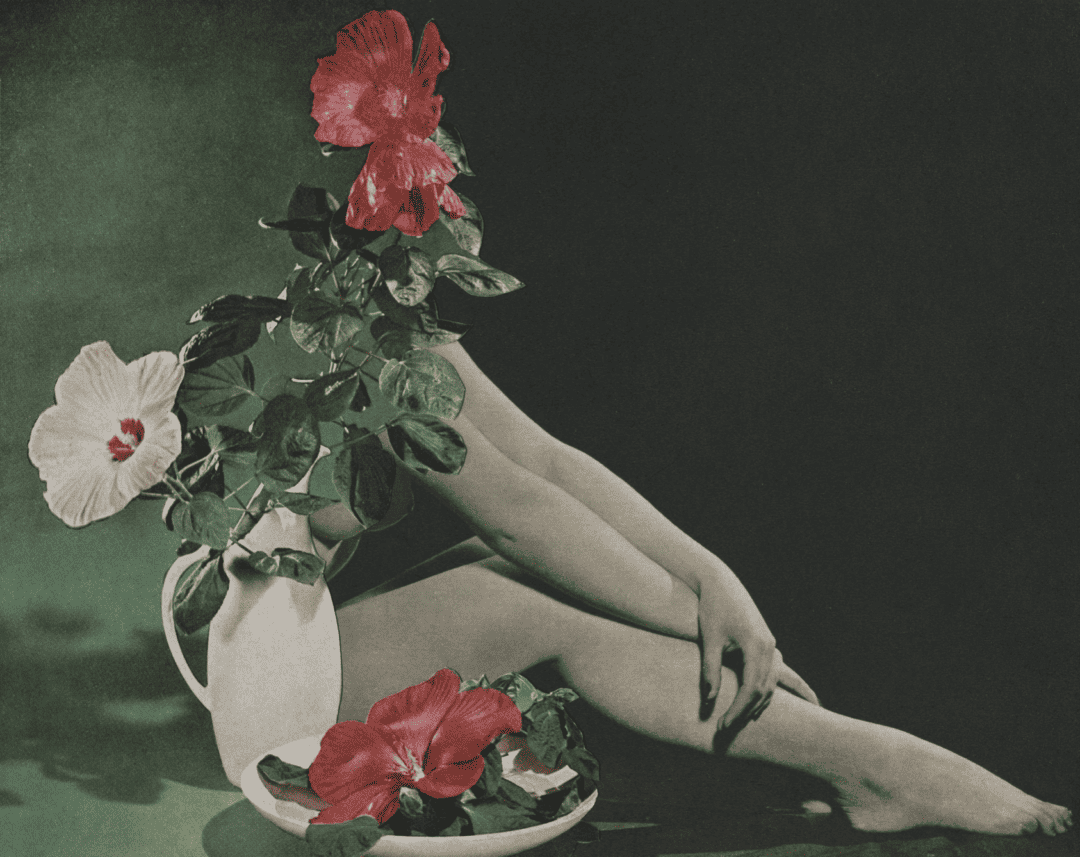 From the series 'You Don't Bring Me Flowers' by Erin McGean
